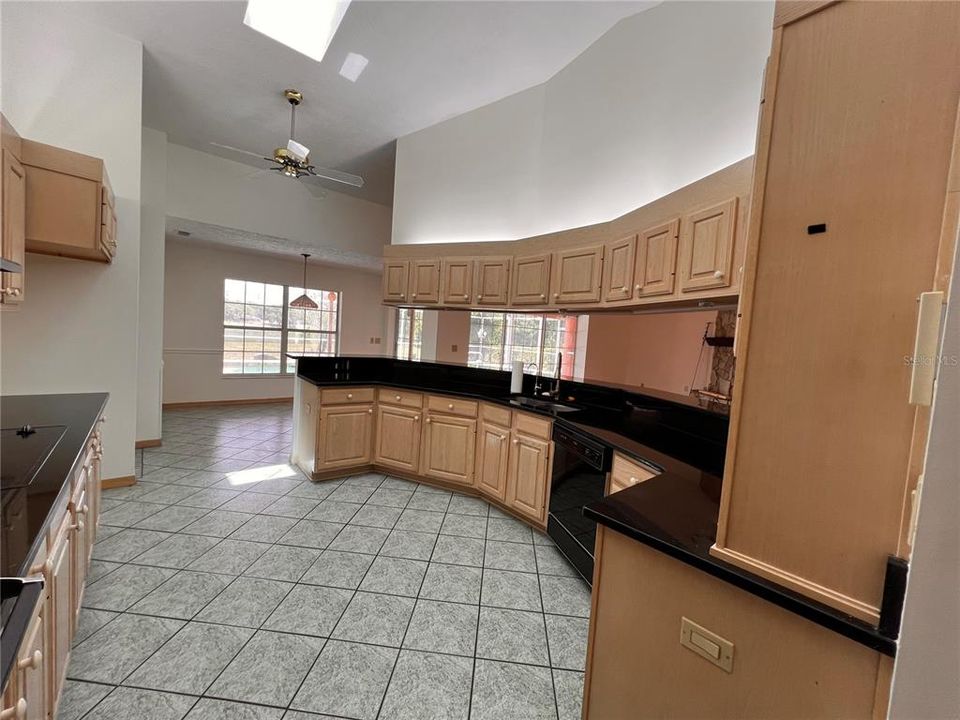 Kitchen Skylight