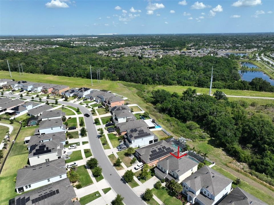 Aerial view of  conservation area behind the house.