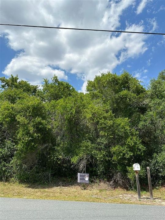 Active With Contract: $40,000 (0.24 acres)