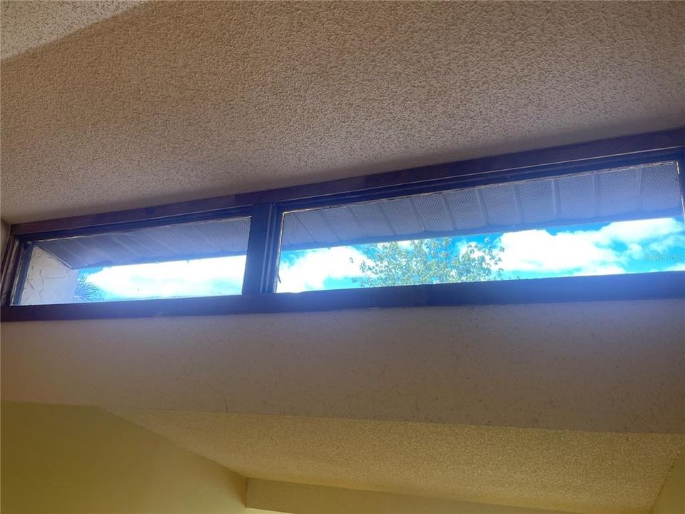 vaulted ceiling windows