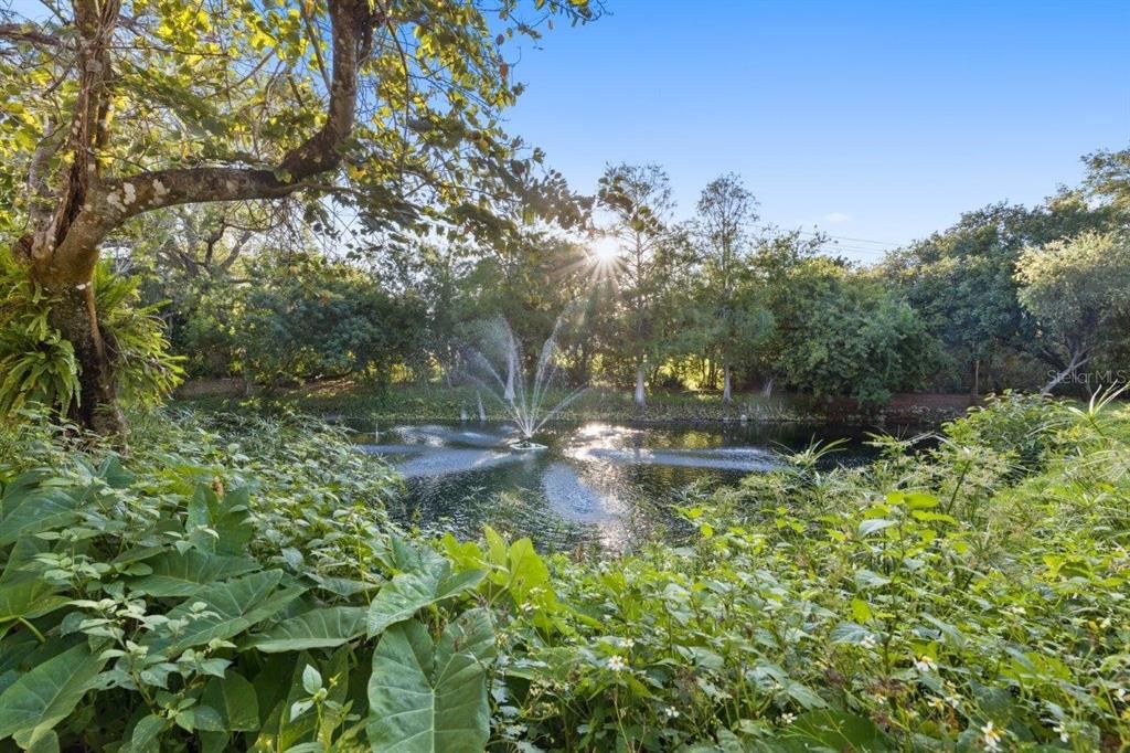 Back yard featuring preserve and pond views