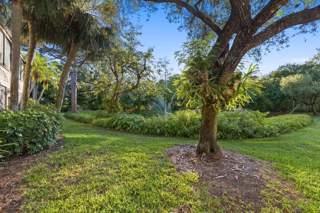 Back yard featuring preserve and pond views