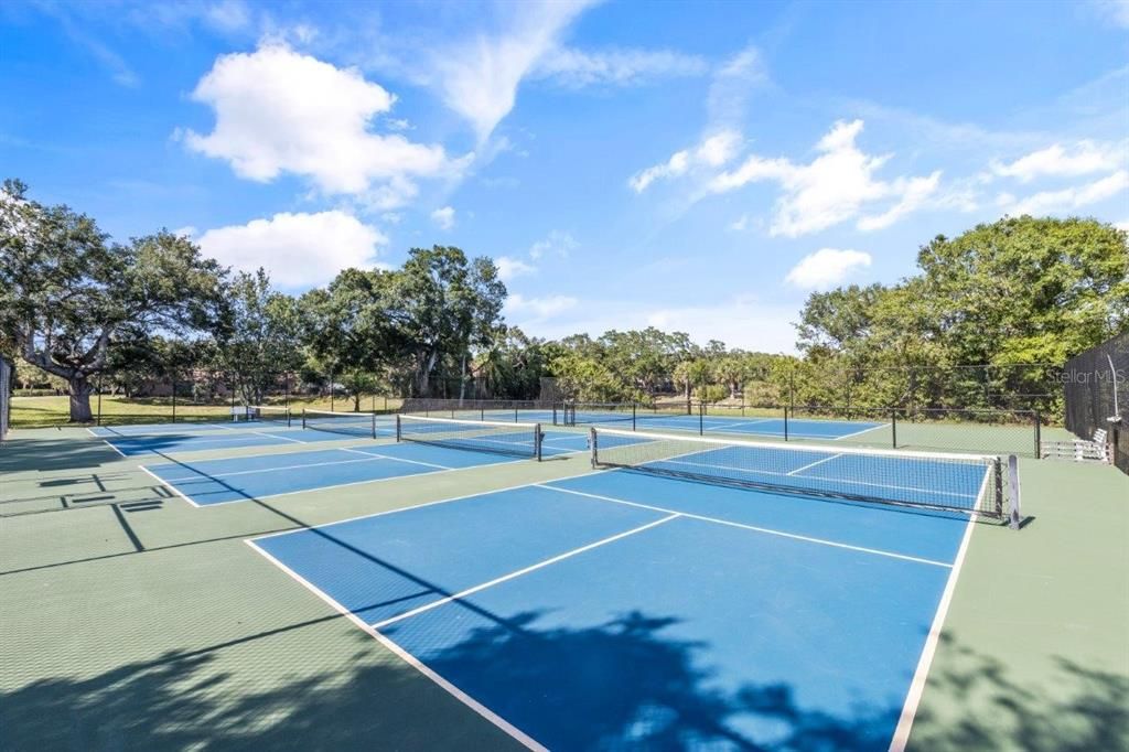 Community Tennis and Pickle Ball Courts