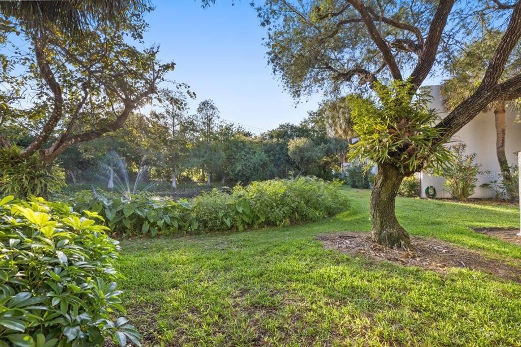 Back yard featuring preserve and pond views