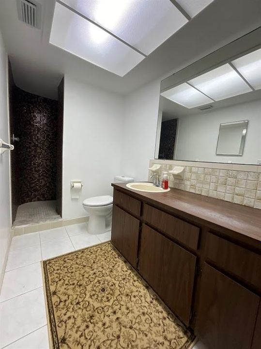 Primary Bathroom with lots of counter space and cabinets.