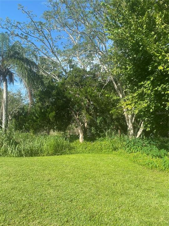 En Venta: $50,000 (0.06 acres)