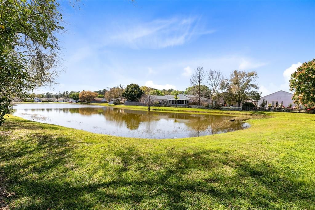 Backyard Pond View