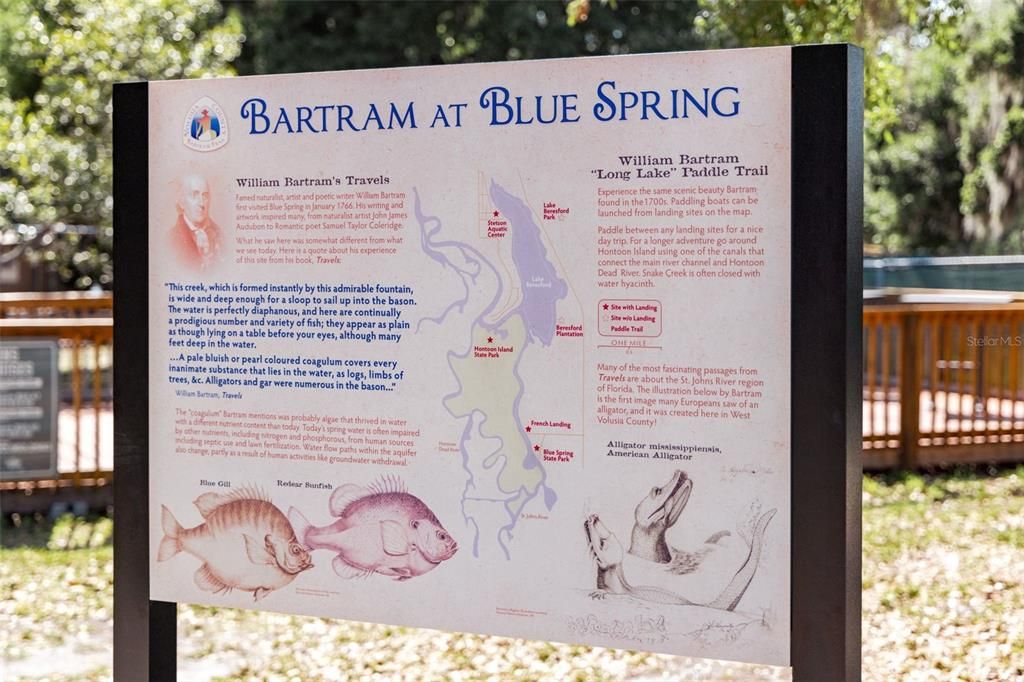 Just 5 minutes to Blue Springs State Park