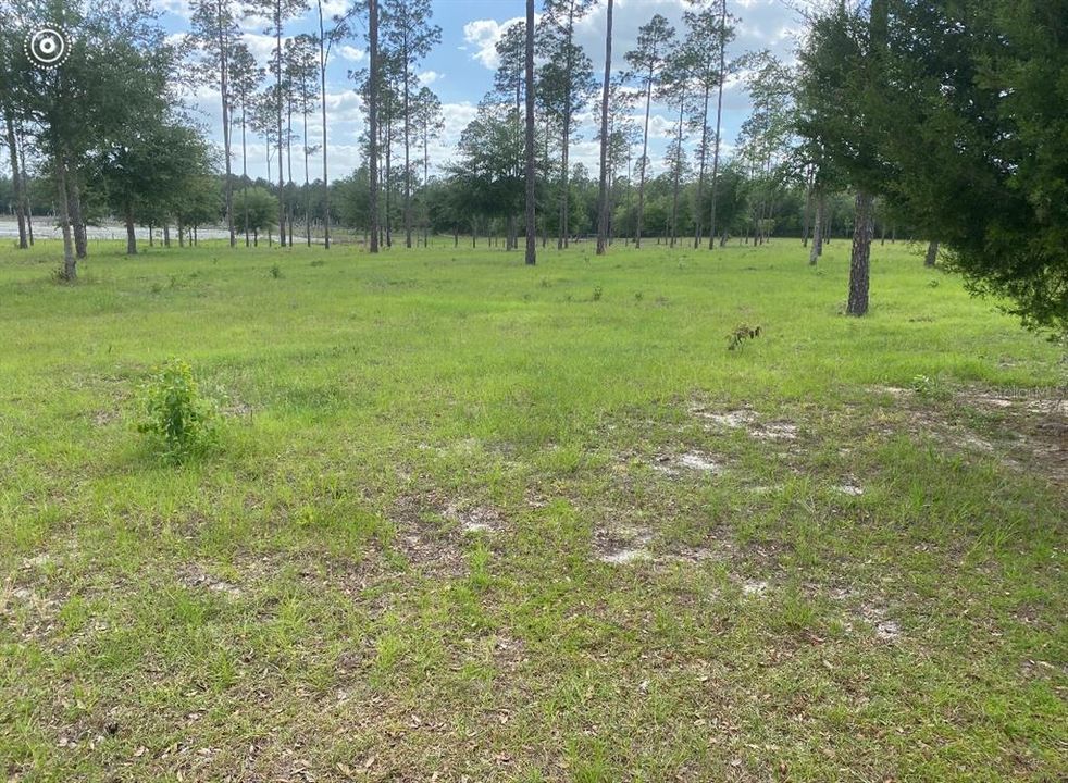 For Sale: $460,000 (20.32 acres)