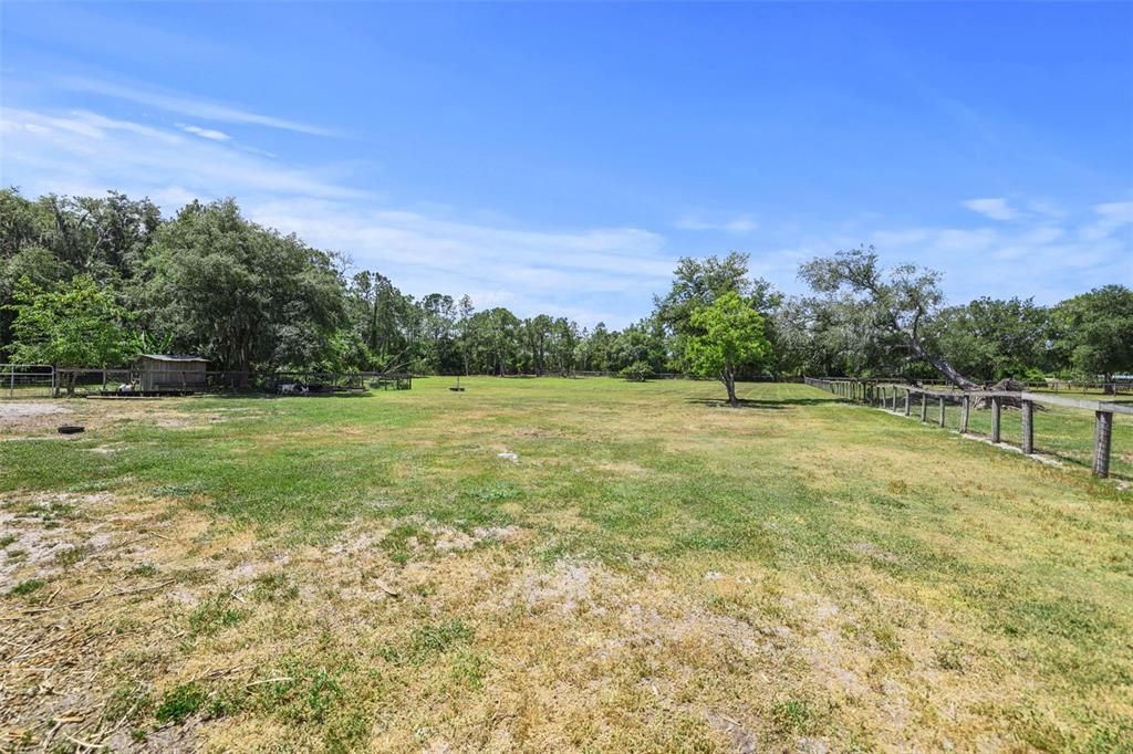 Pasture behind the barn.