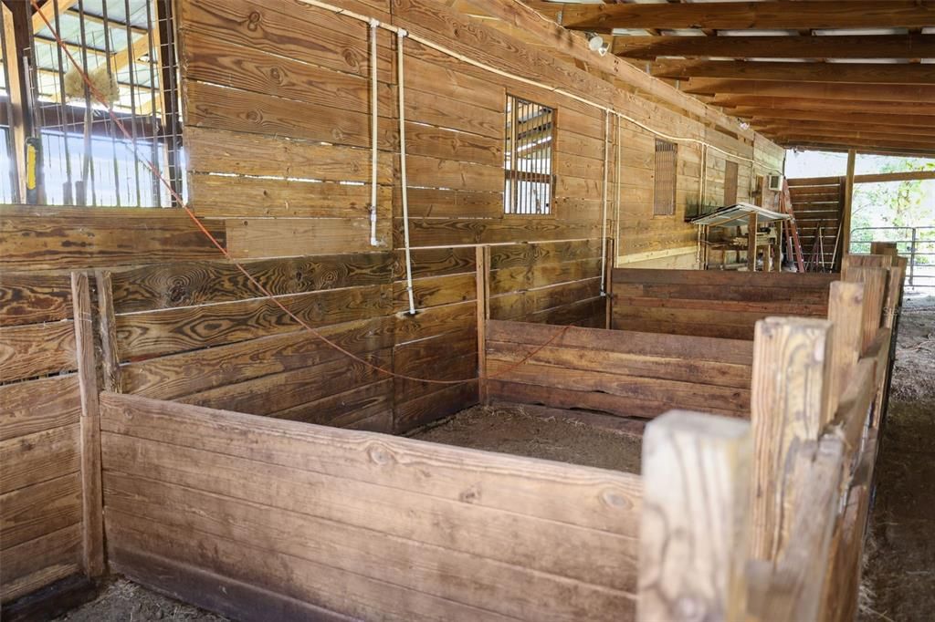 Barn Stalls