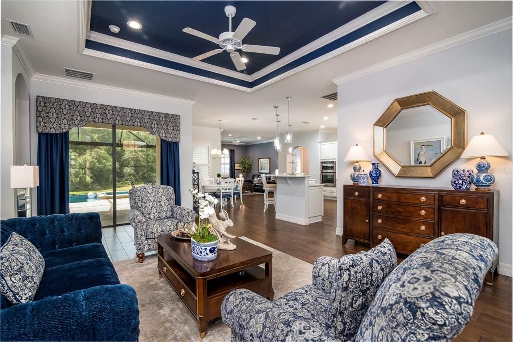 This view from foyer shows the living room with its tray ceiling.