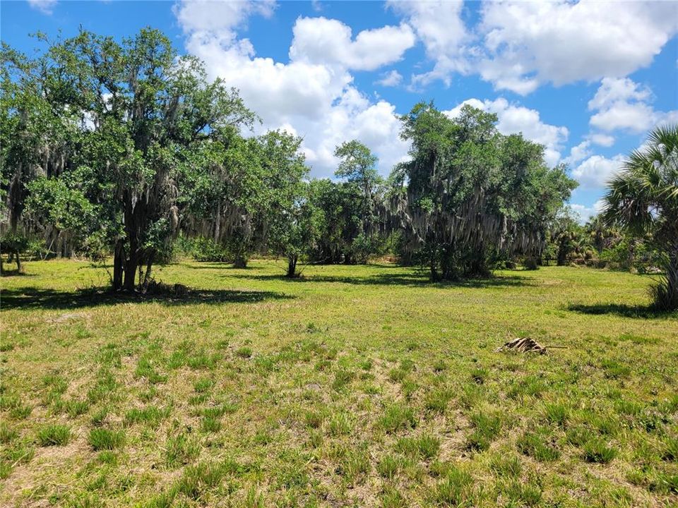 For Sale: $299,000 (5.03 acres)