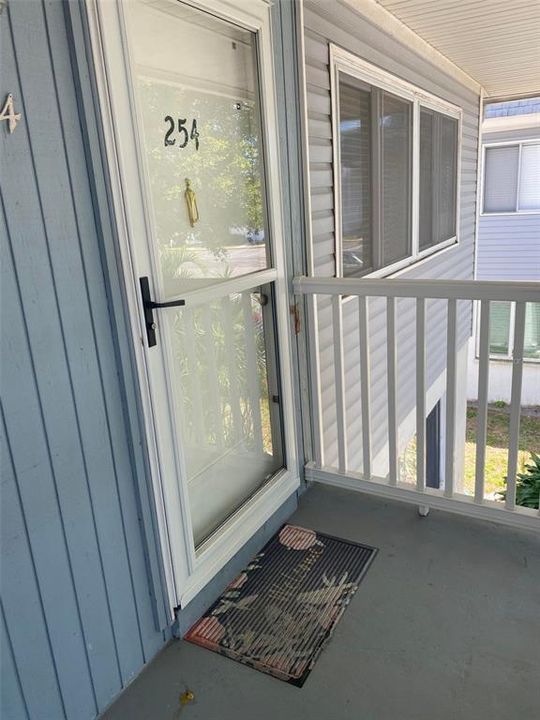 Front door with a storm door