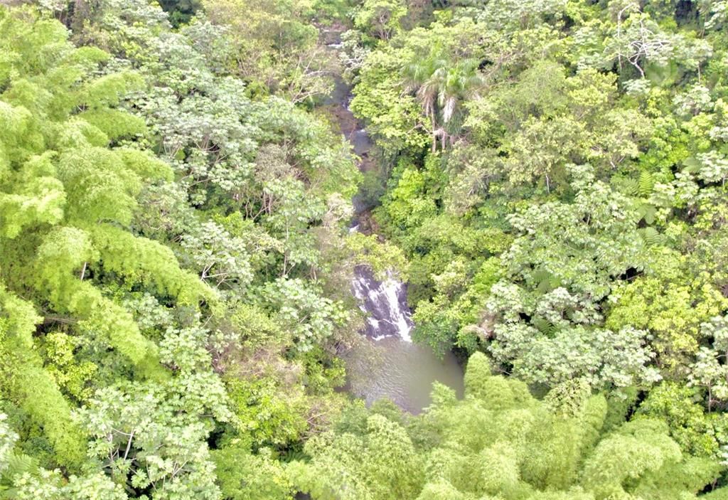 На продажу: $1,100,000 (32.53 acres)