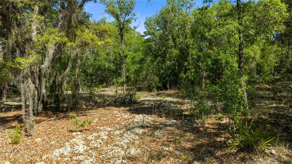 For Sale: $40,000 (1.22 acres)