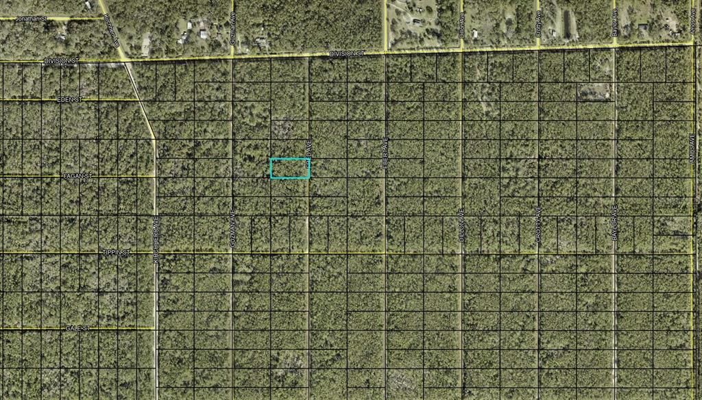 For Sale: $11,900 (1.14 acres)