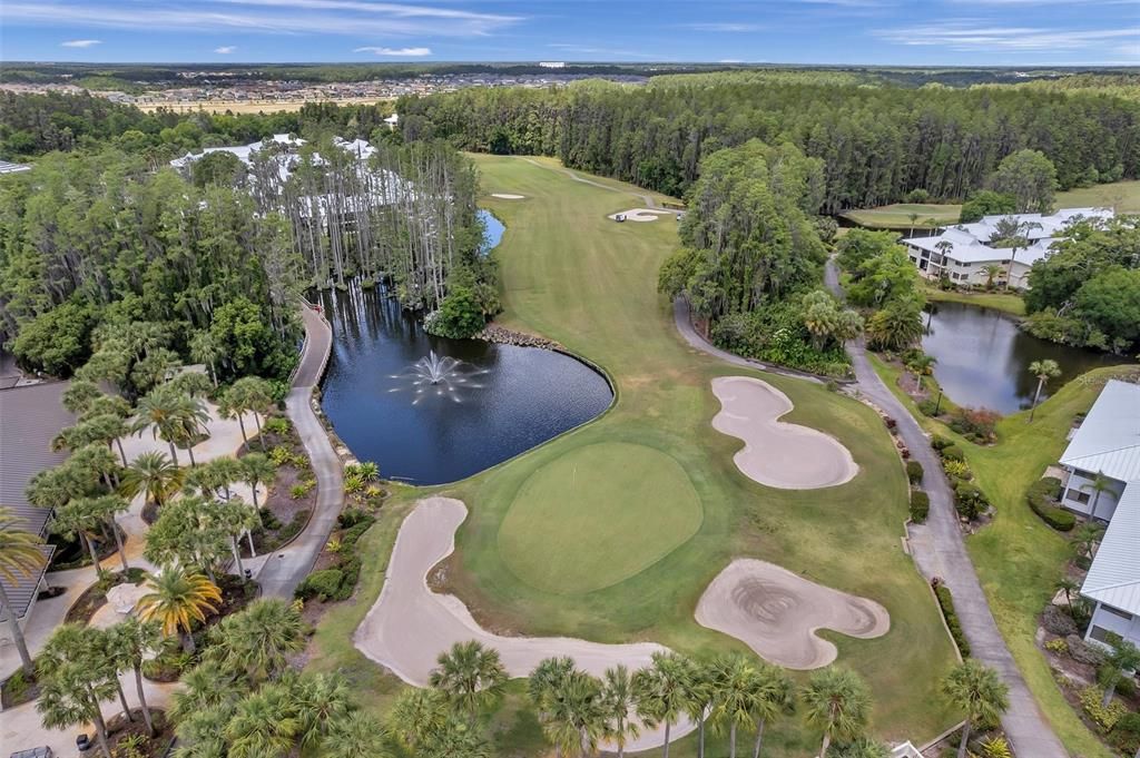 CYPRESS TREES AND GOLF COURSE AND BIRD SANCTUARY BRIDGE