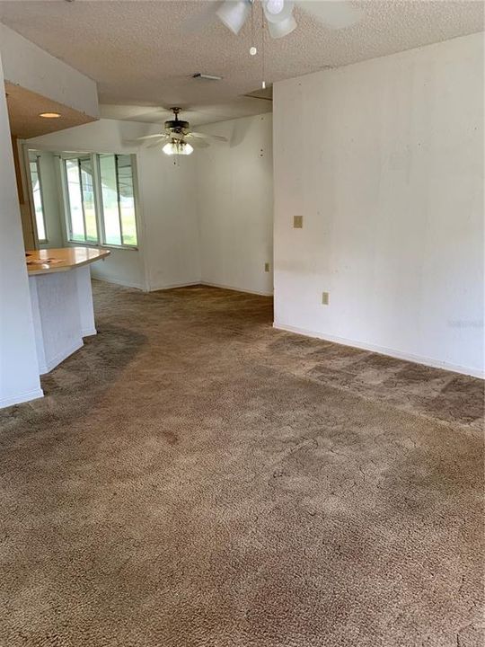 Looking into living room from front door clean carpets