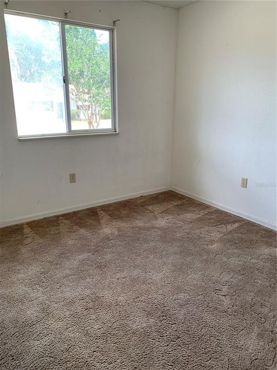 Guest Bedroom carpets cleaned