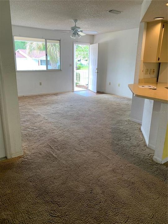 Looking into living carpets cleaned