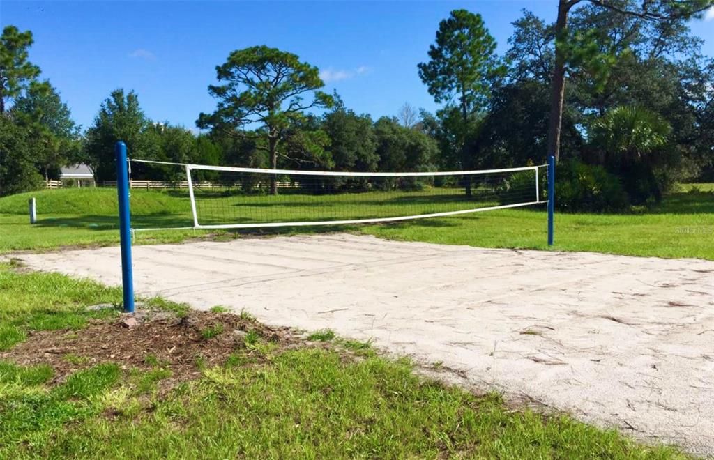Community Volley ball area