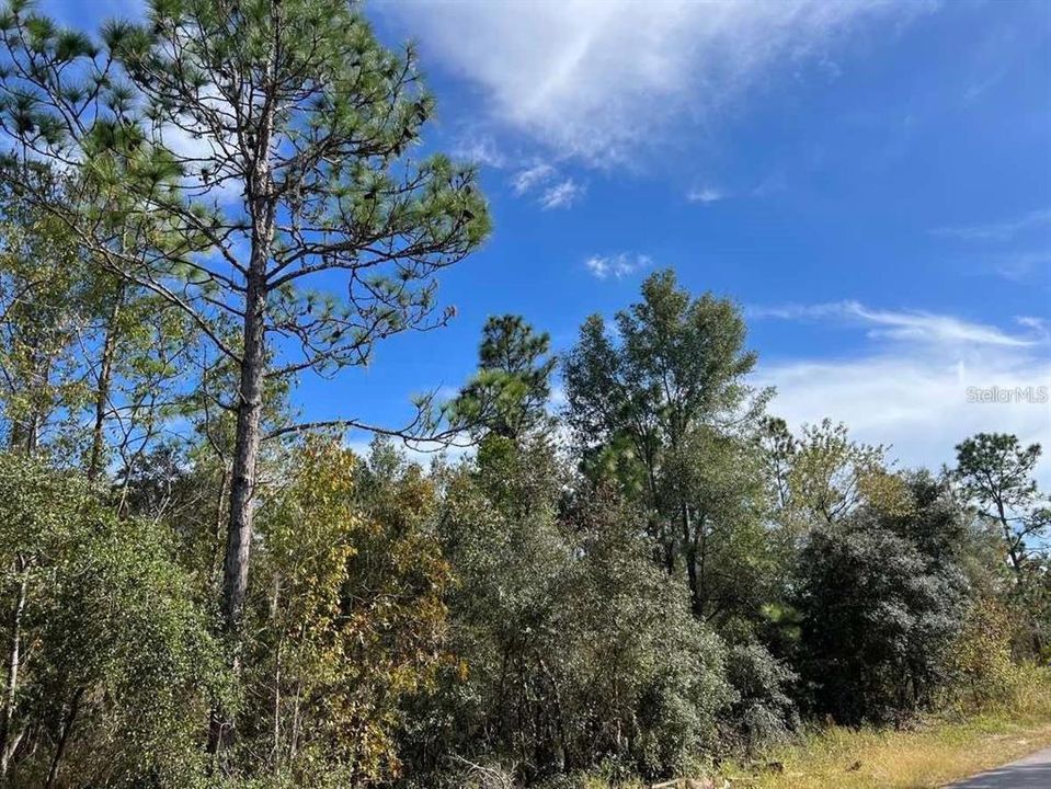 Active With Contract: $19,900 (0.99 acres)