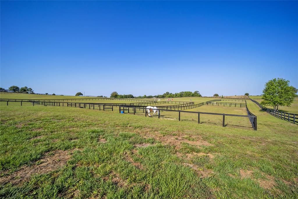 Paddocks from back of barn.