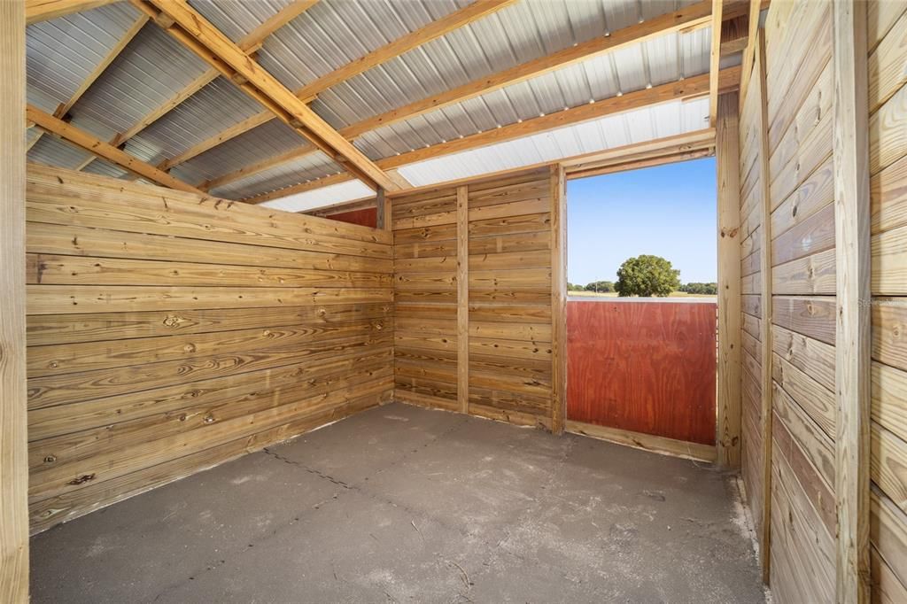 Matted stalls w/dutch doors leading to runs