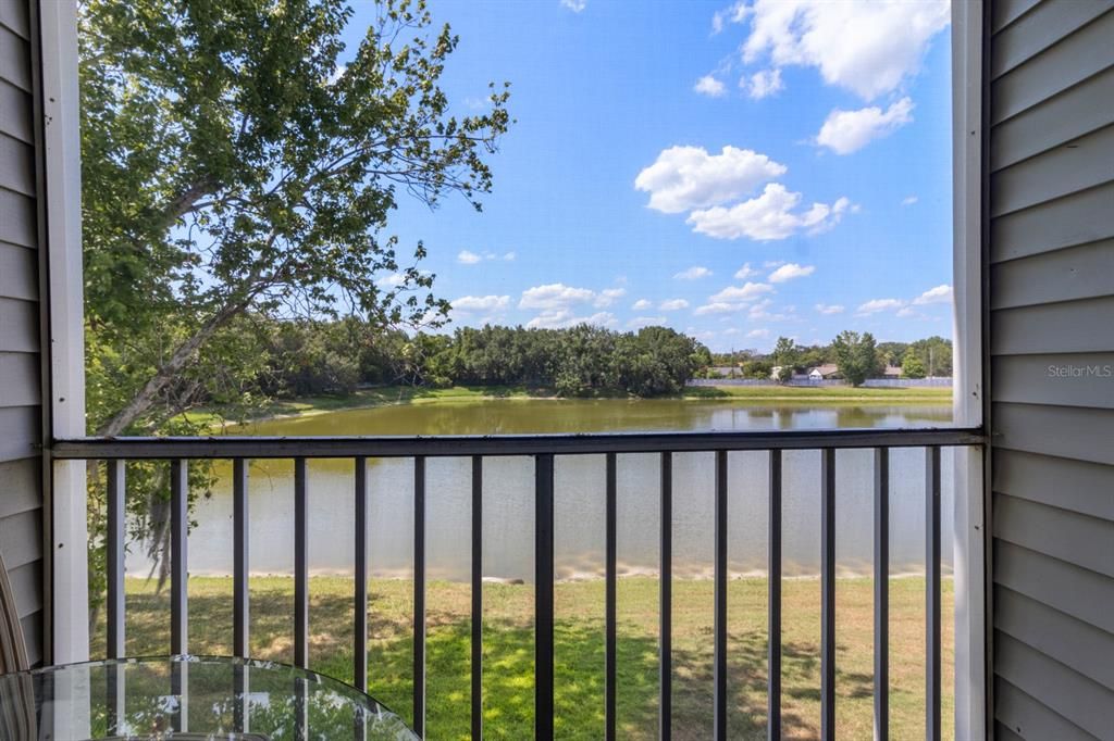 Tranquil Lake View