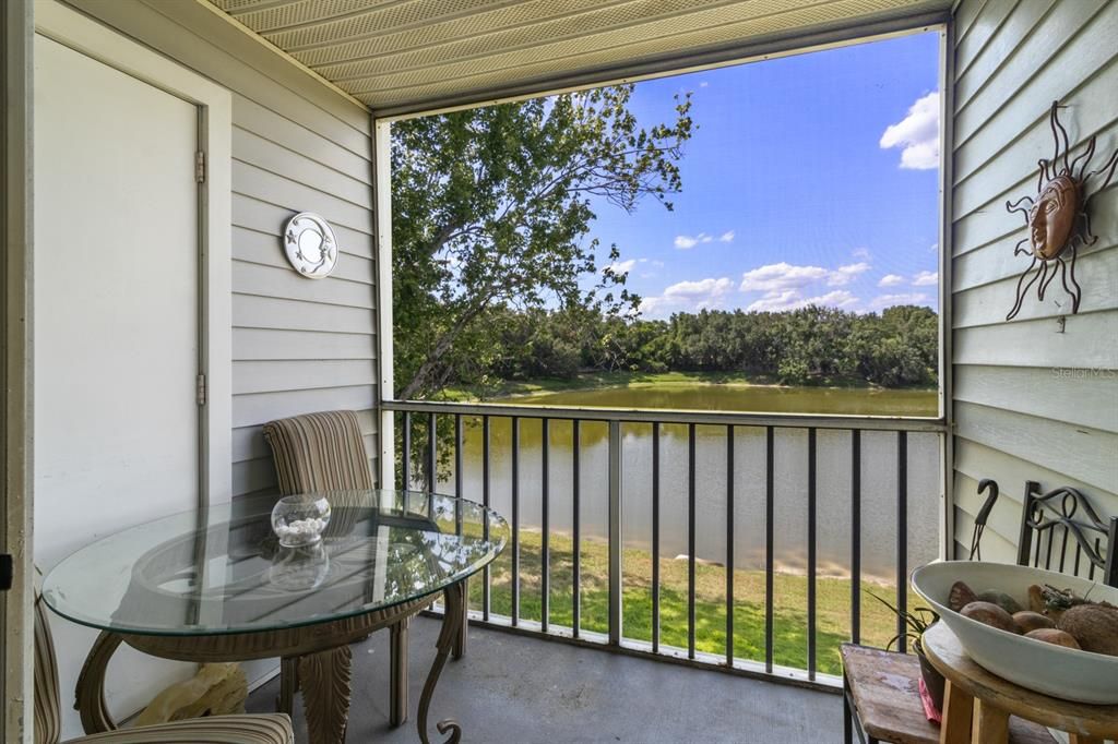 Screened in Porch with Storage closet