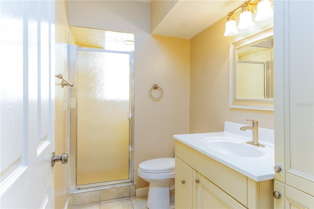 Guest Bath with standup shower