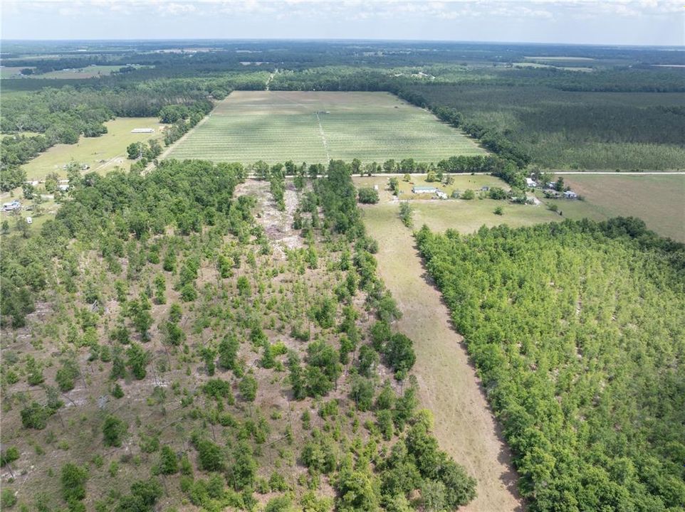 For Sale: $200,000 (20.00 acres)