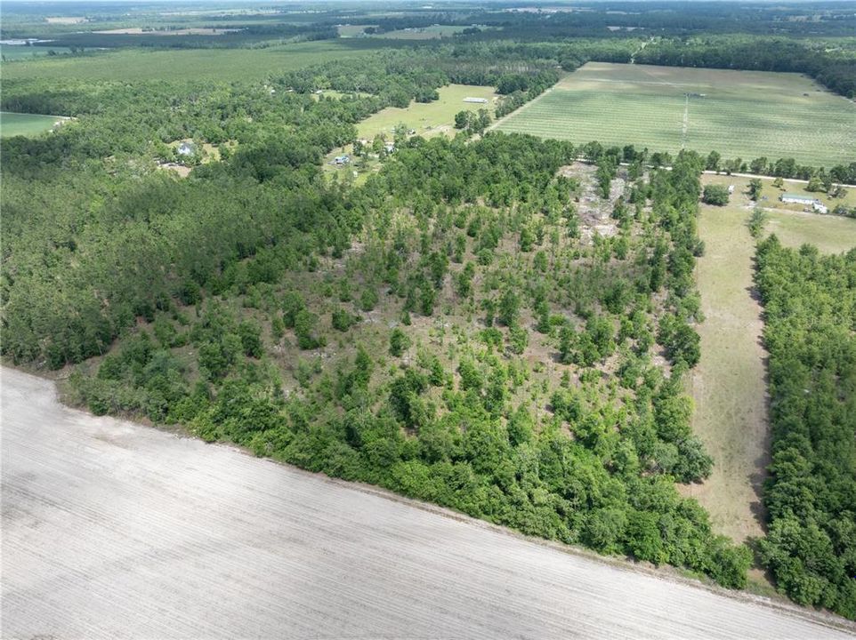 For Sale: $200,000 (20.00 acres)