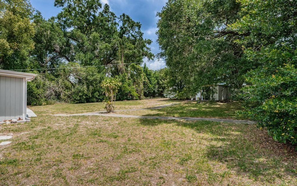 View from south side of back yard.