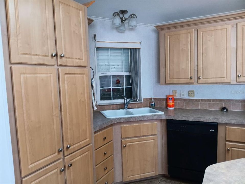 LOOK AT ALL THE CABINETS IN THIS SPACIOUS KITCHEN