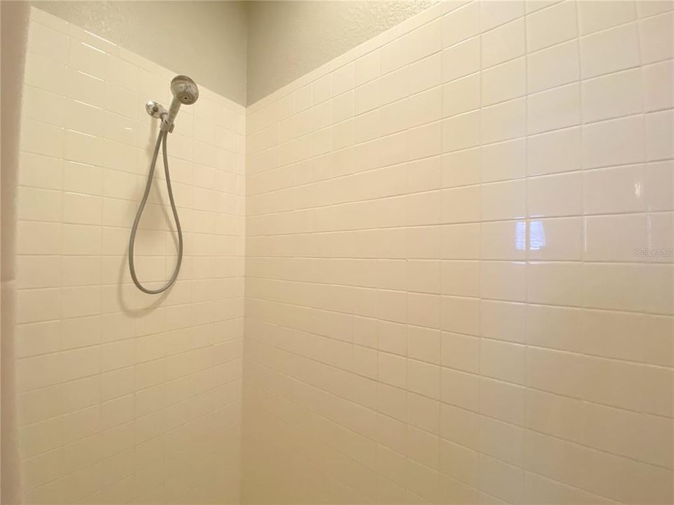 Master shower