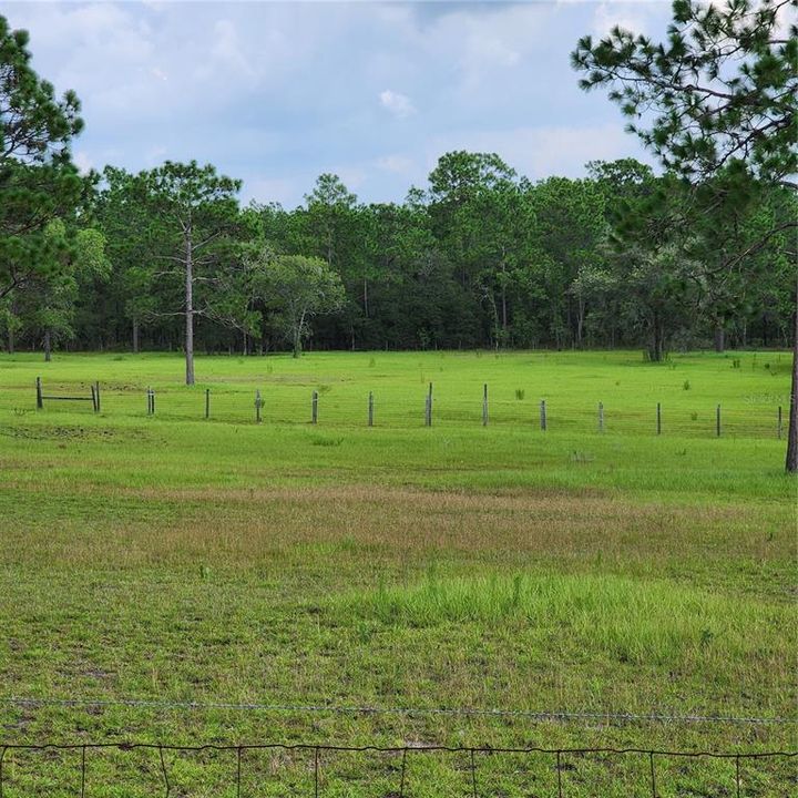 neighbors pasture to the west