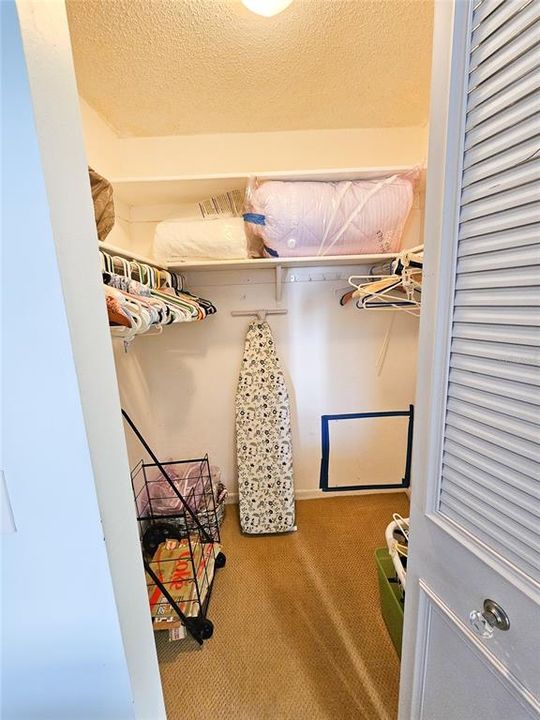 Primary Bedroom w/ Walk-in Closet