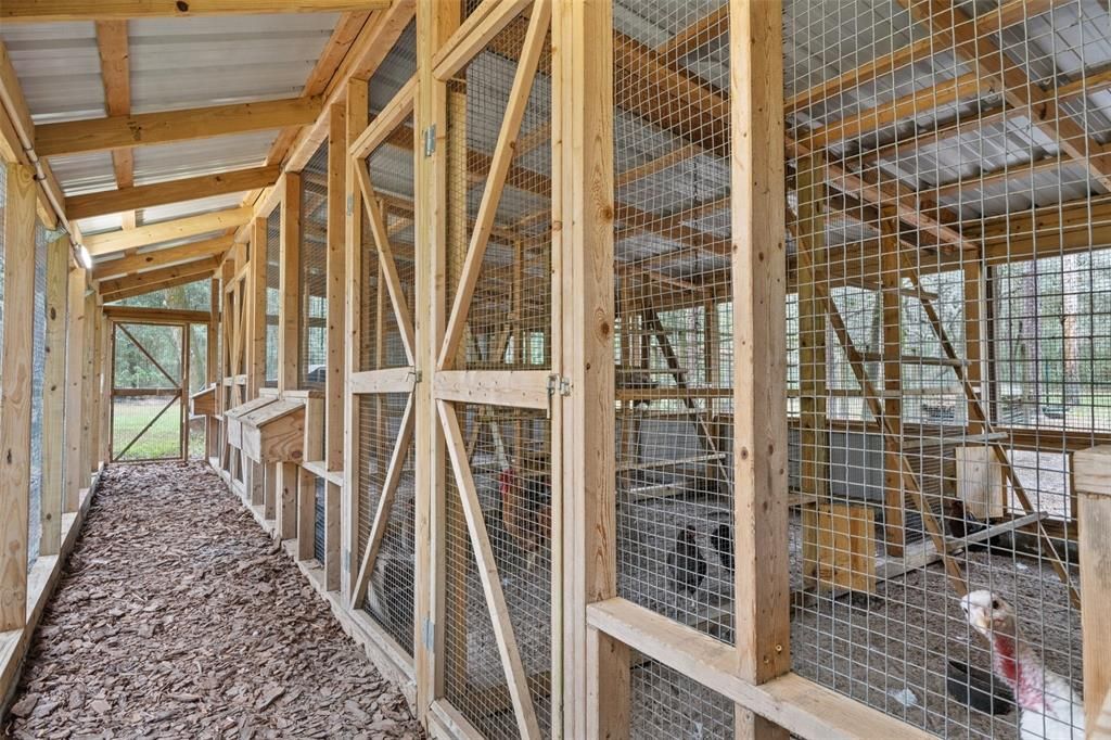 Inside the Hen Hotel.  Walk to gather eggs and stay dry while tending your flock.