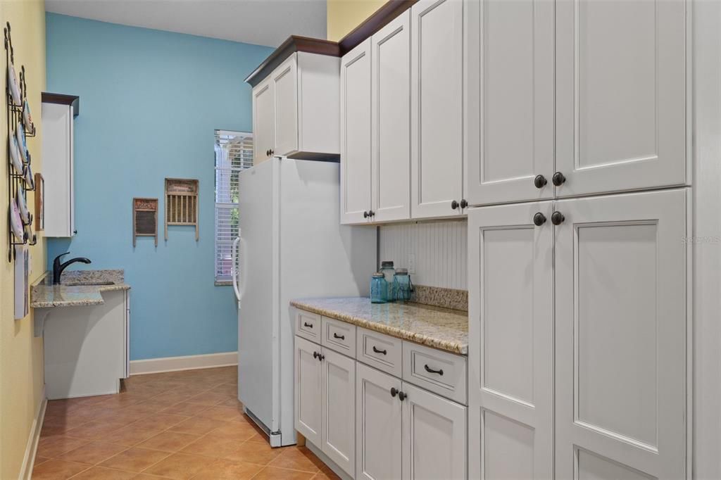 Mud room and Butlers Pantry, including freezer, sink and washer & dryer.