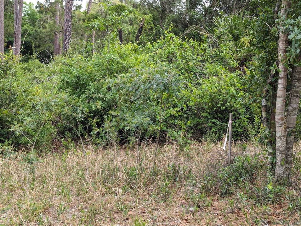 En Venta: $38,900 (0.43 acres)