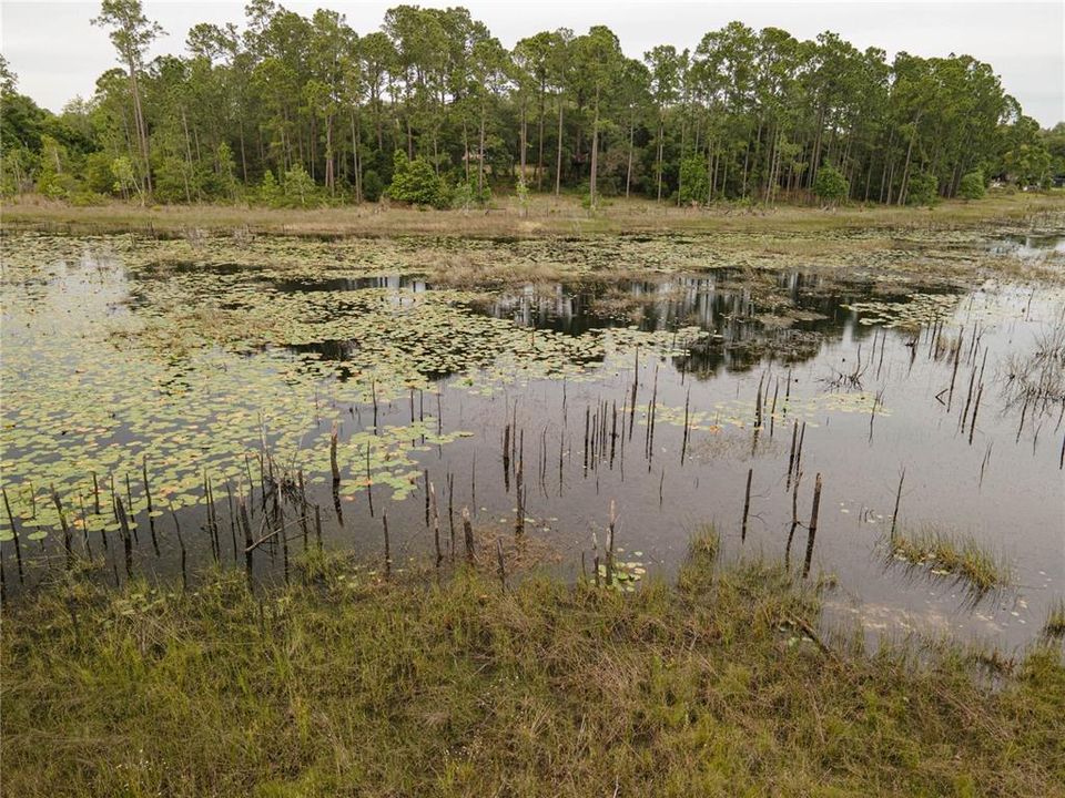 Crystal Lake view from back of lot