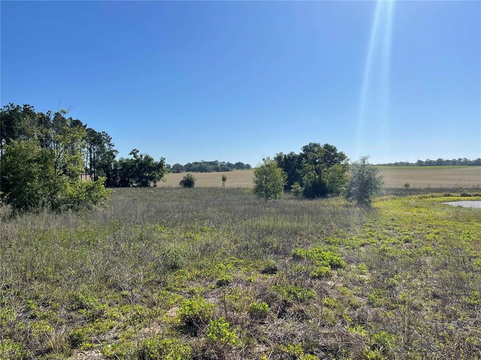 Recently Sold: $75,000 (3.12 acres)