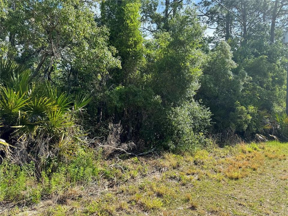 Active With Contract: $64,000 (2.00 acres)