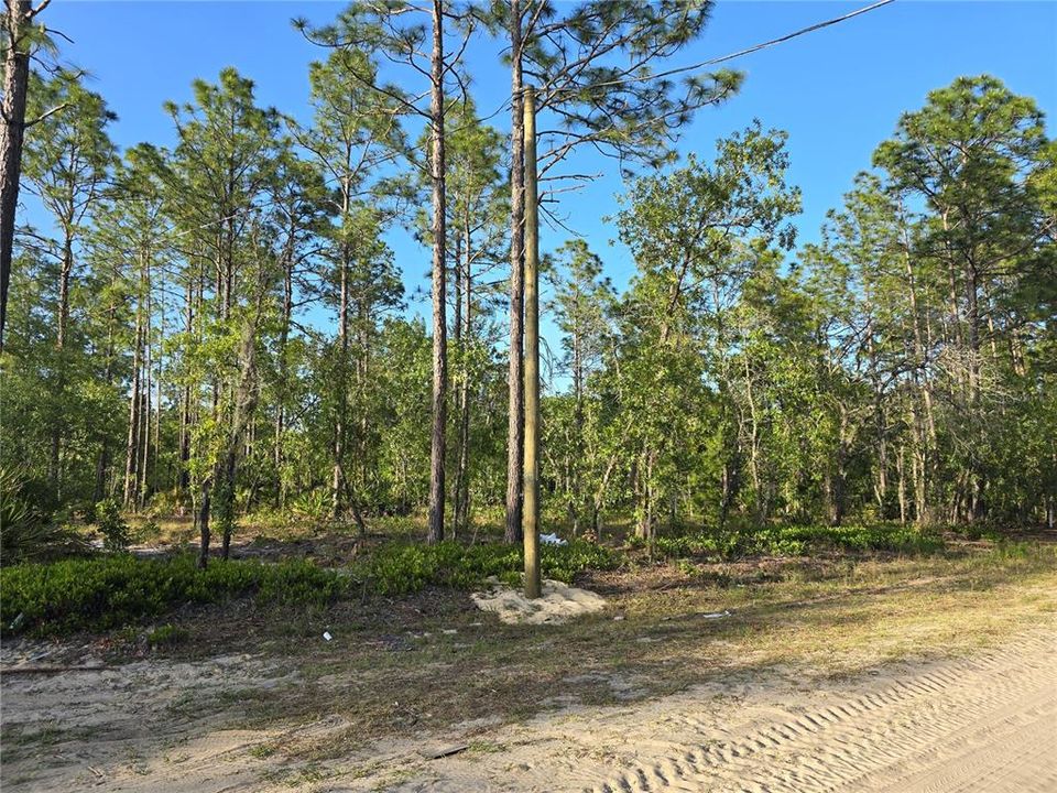 Active With Contract: $43,000 (1.14 acres)