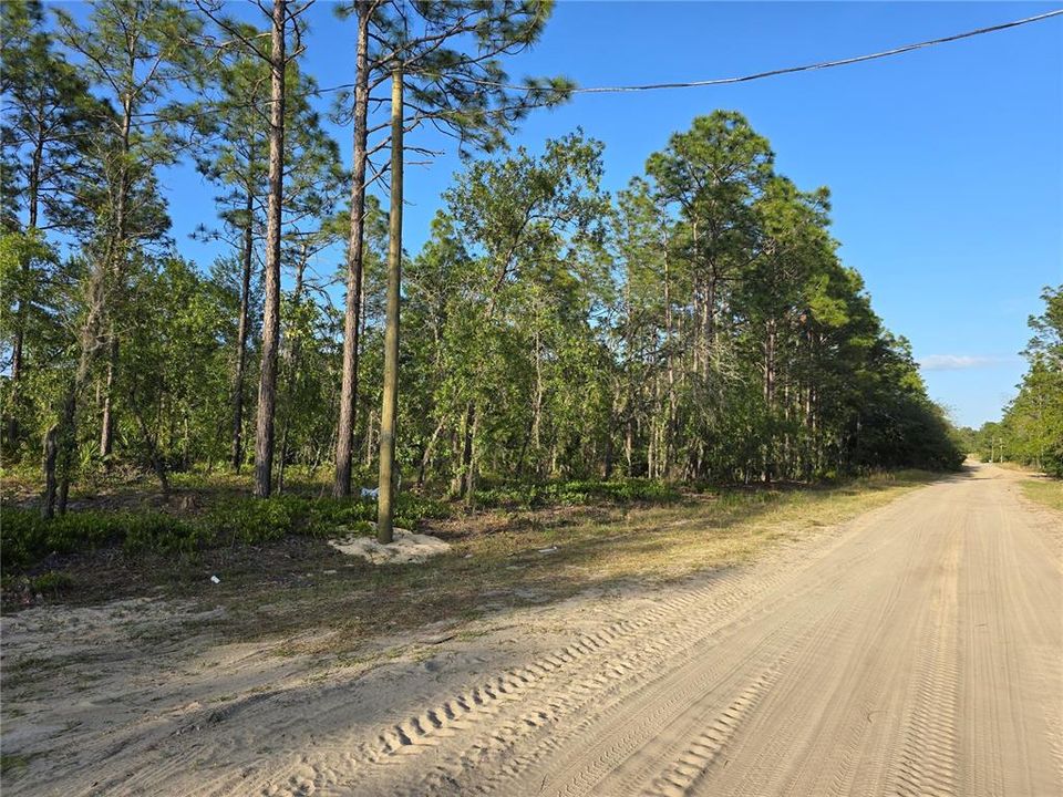 Active With Contract: $43,000 (1.14 acres)