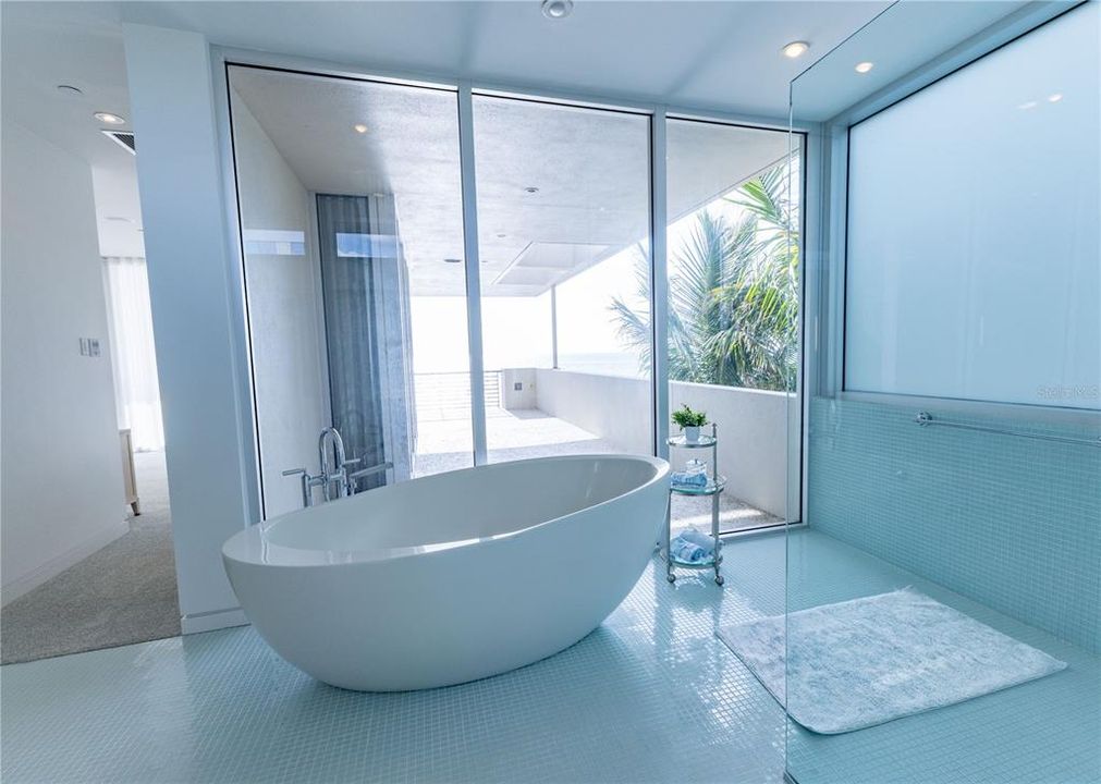 Shower and soaking tub with private balcony and ocean view