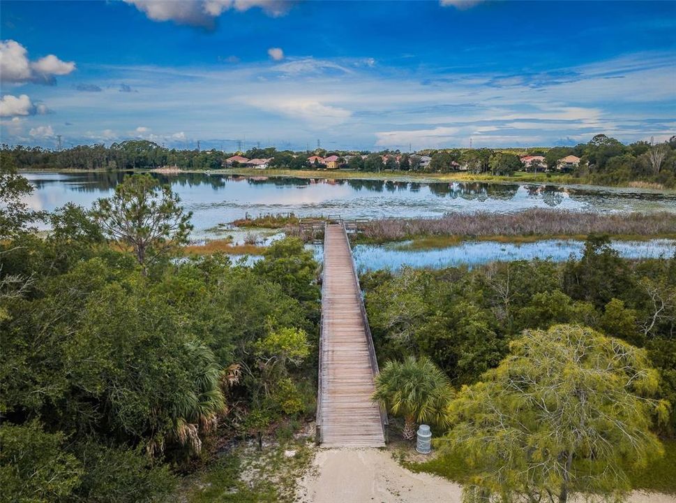 Bridge in the park