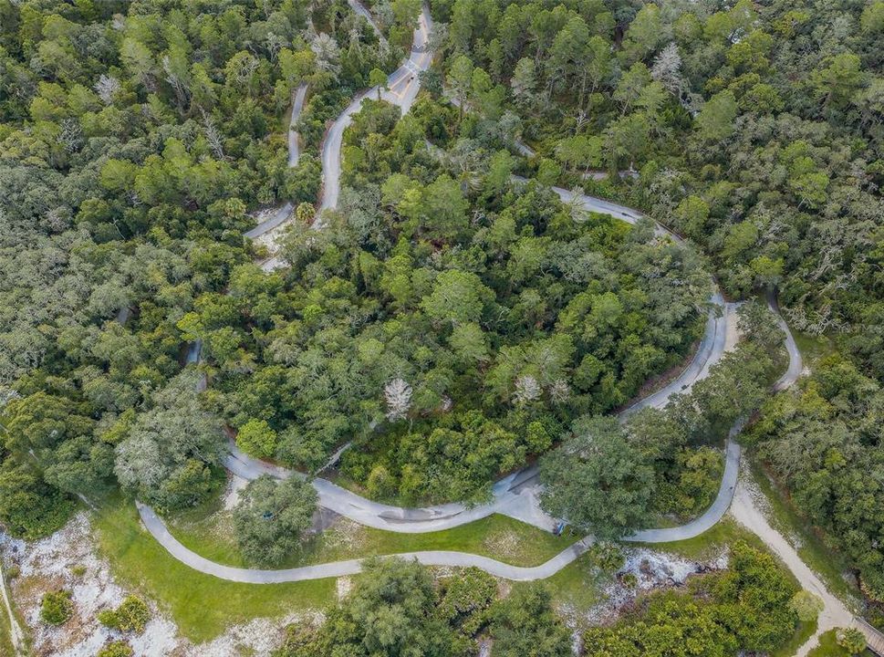 Aerial of the Trails
